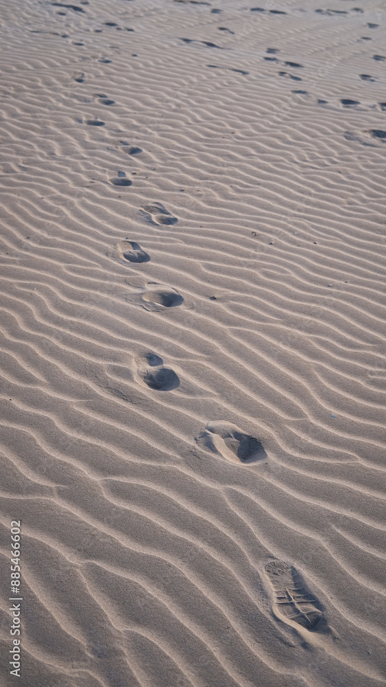 Obraz premium desert pattern