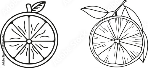 Intense black line drawing on a white background, illustrating an orange fruit slice.