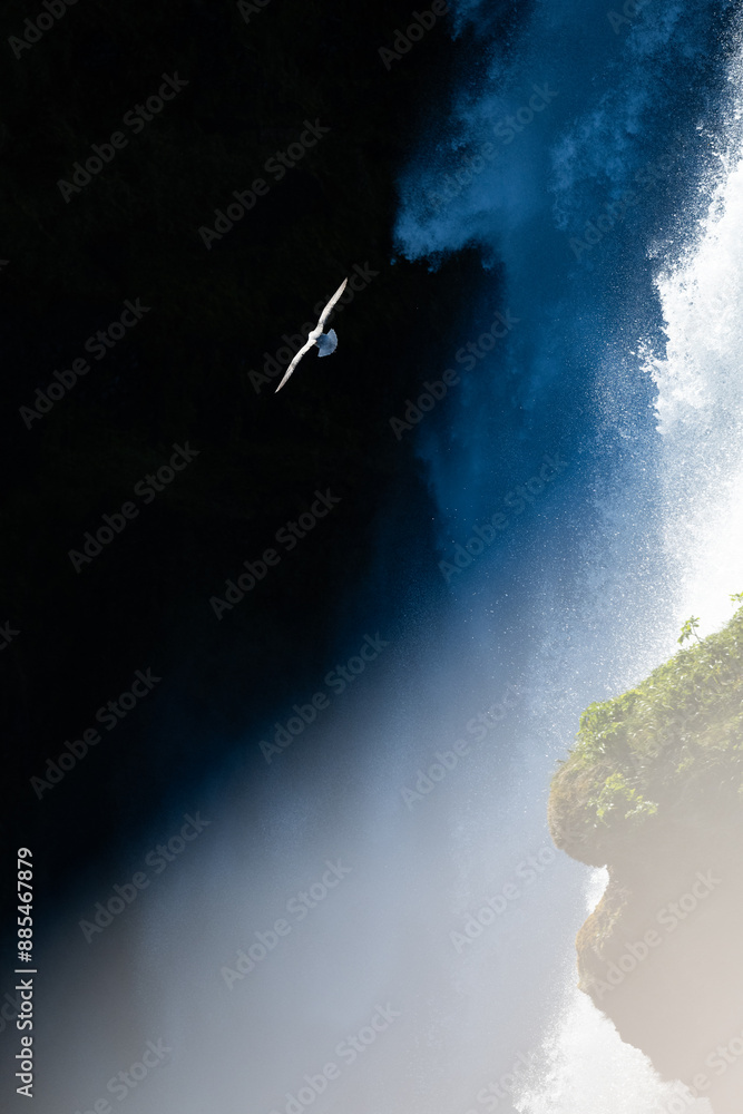 Stunning view of a seagull flying in front of the beautiful Skogafoss waterfall, Iceland.