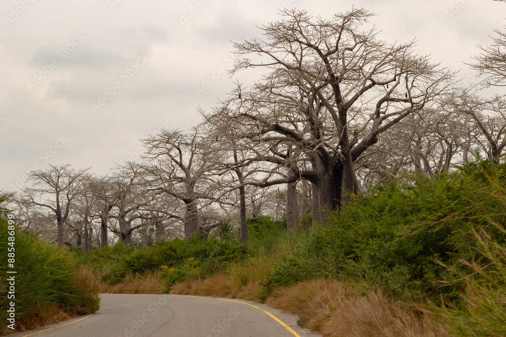 Obraz premium Muxima