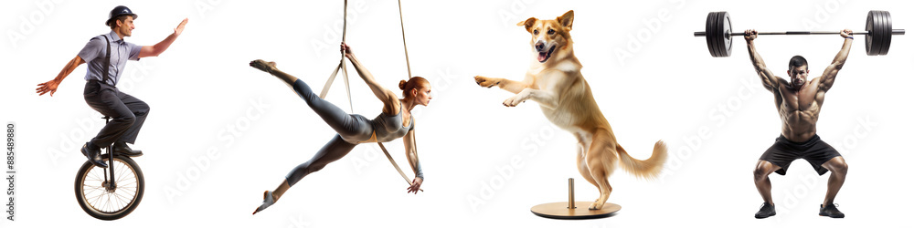 Obraz premium Multisport Athletes and Active Dog in Various Dynamic Poses