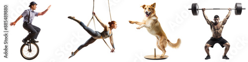 Multisport Athletes and Active Dog in Various Dynamic Poses
