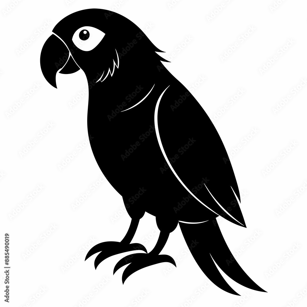 Fototapeta premium Parrot Black silhouette