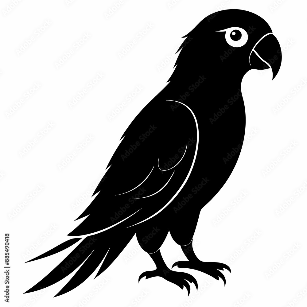 Fototapeta premium Parrot Black silhouette
