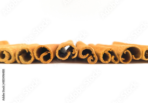 Row of cinnamon sticks on white background