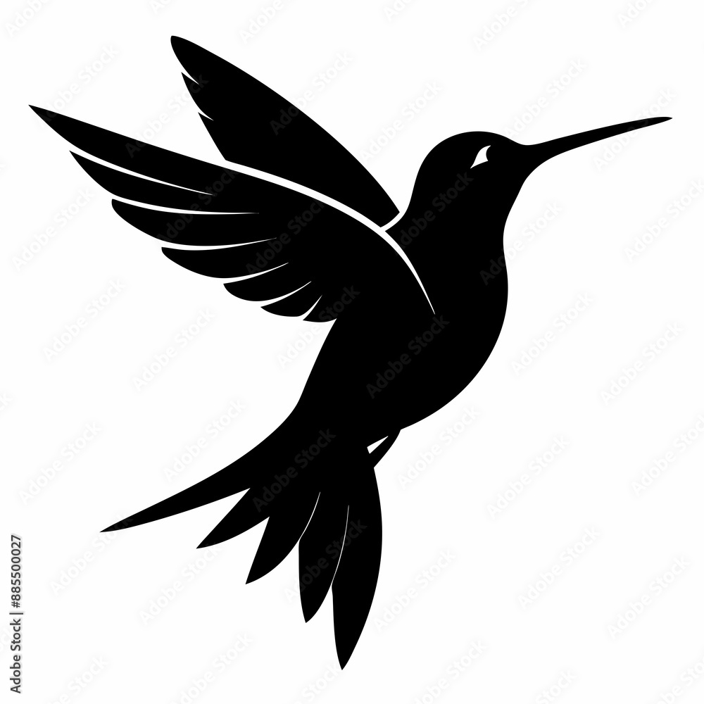 Obraz premium Hummingbird Black silhouette