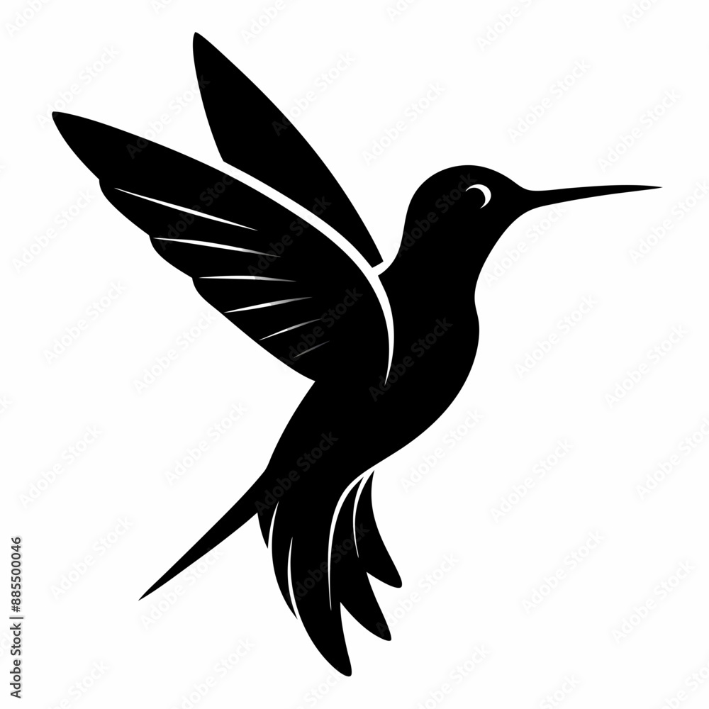 Obraz premium Hummingbird Black silhouette