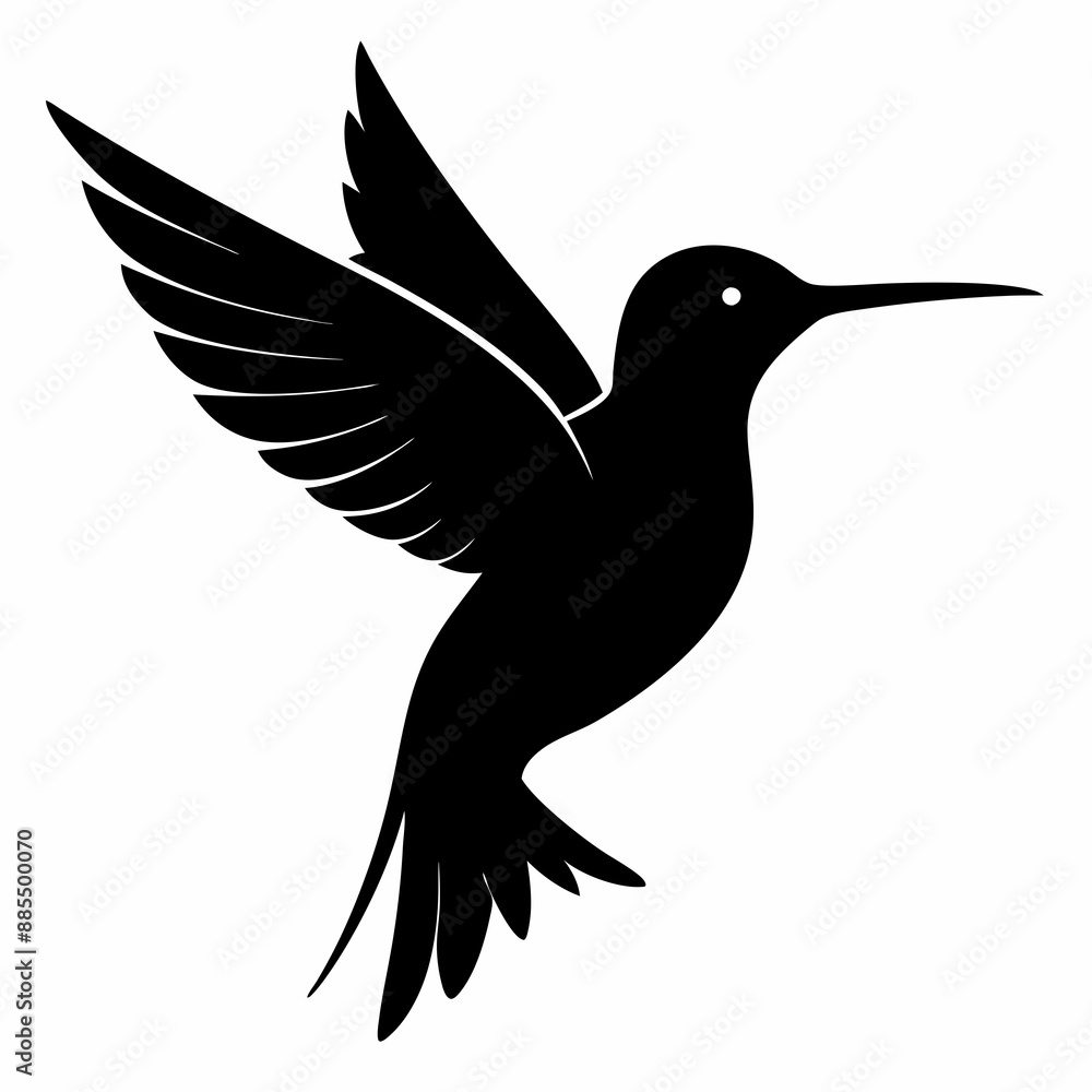 Fototapeta premium Hummingbird Black silhouette