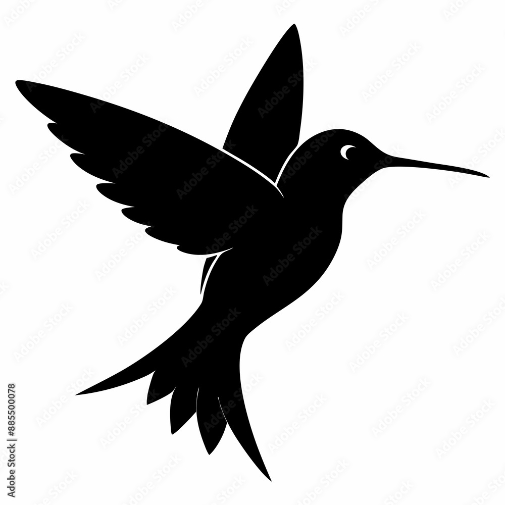 Obraz premium Hummingbird Black silhouette