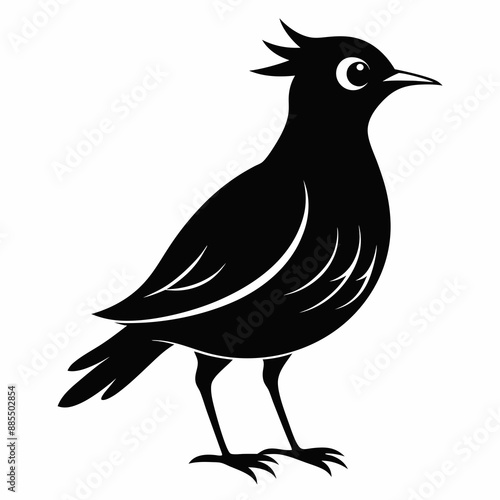 Skylark Black silhouette