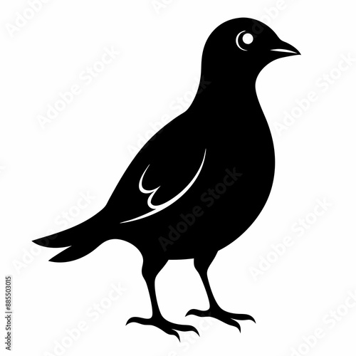 Skylark Black silhouette