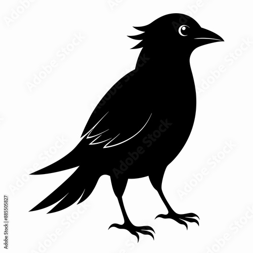 Skylark Black silhouette