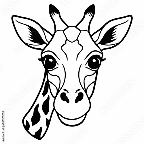 Line art of giraffe head 