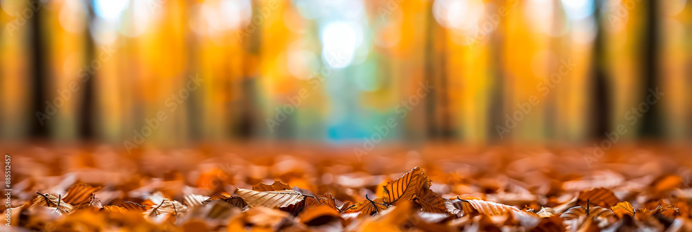 Blurred autumn forest background rich tones of orange red and yellow tranquil atmosphere Blurred autumn forest background rich tones of orange red and yellow tranquil atmosphere