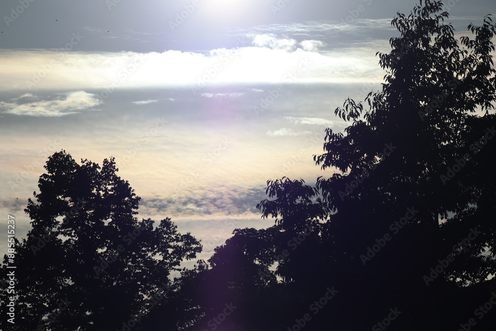 Fototapeta premium sunset over the river