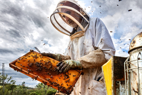 Beekeeper manipulating hive frame in apiary