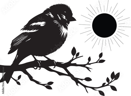 crow silhouette on a branch photo