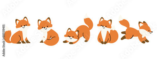 Cute Fox Autumn Season animal set vector. Collection of orange foxes, wolf, dog in different pose, sitting, sleeping, jumping, running. Adorable fox characters illustration for decoration, clipart.