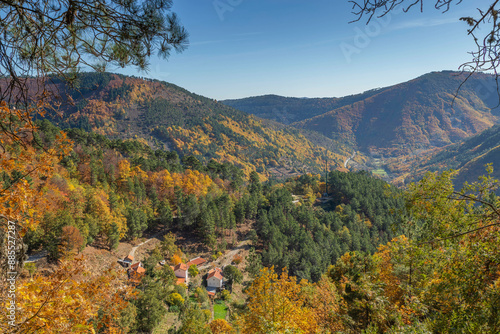 Outono - Serra da Estrela