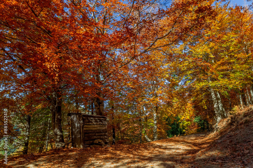 Fototapeta premium Outono - Serra da Estrela