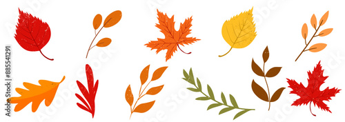 Vibrant autumn leaves colorful vector flat illustration. Collection of various branches and foliage isolated on white background. Fall season hand drawn design elements, clipart.