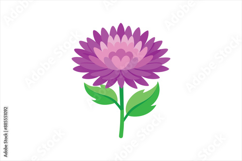 aster flower vector artwork illustration