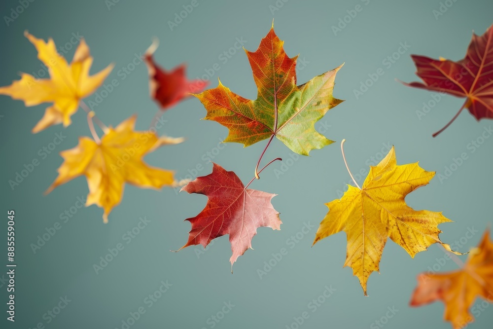 Autumn leaves falling gently against a soft blue background Autumn leaves falling gently against a soft blue background
