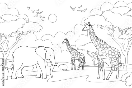 African animals landscape coloring page. Elephant and giraffe line art illustration. Nature of africa wildlife. Not merged, separate elements.