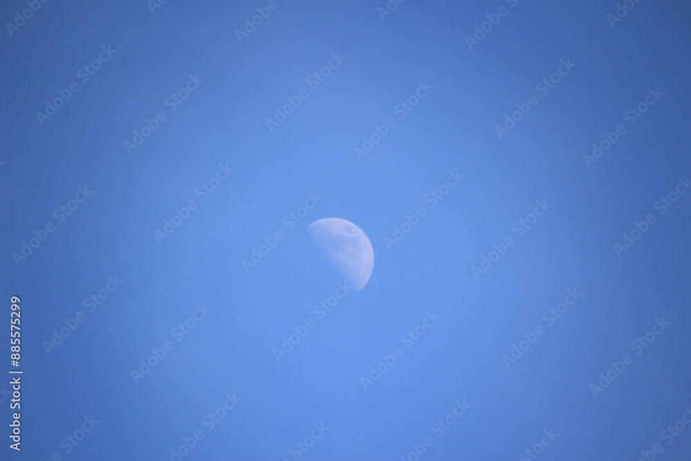 上弦の月 Halfmoon 上弦の月 Halfmoon