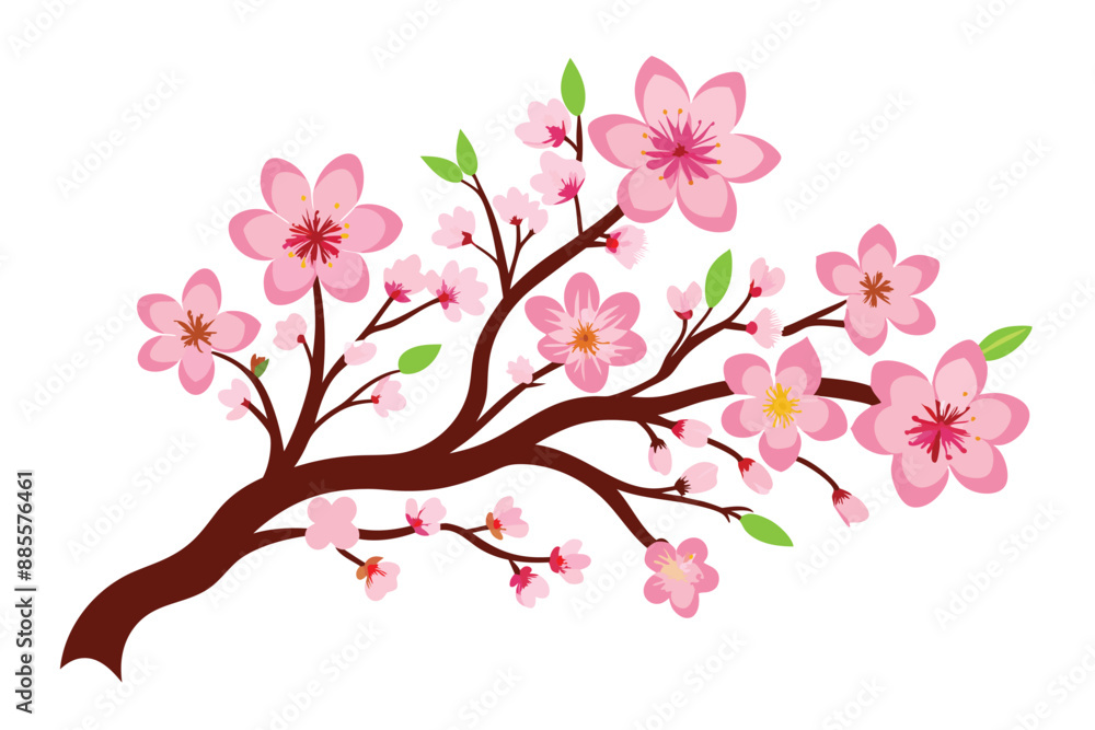 Fototapeta premium Pink cherry blossoms bloom, a spring beauty of floral sakura