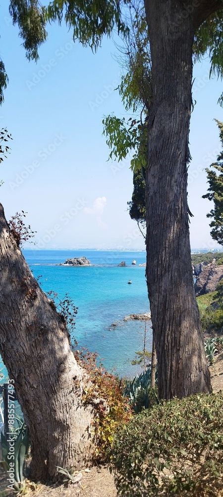 Fototapeta premium Crystal clear water beach and trees