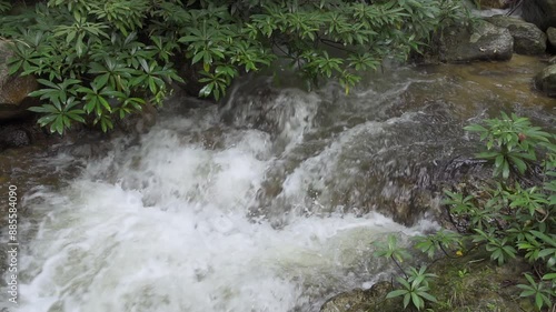 Beautiful stream in tropical forest in Chae Son National Park, Lampang, Thailand, close up, slow motion