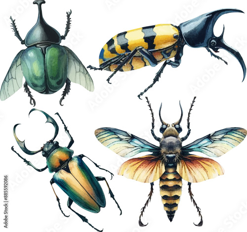 set with various insects in watercolor style