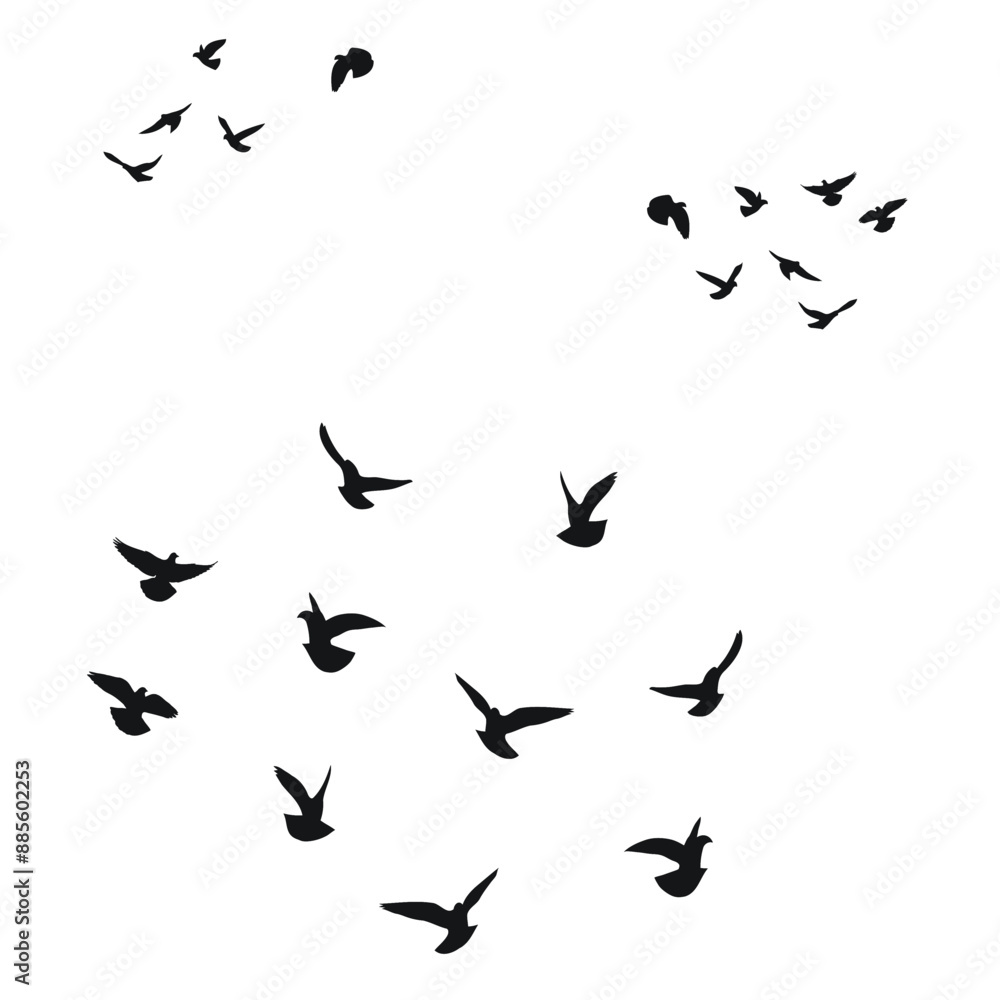 Silhouette sketch of a flock of flying birds, flight in different