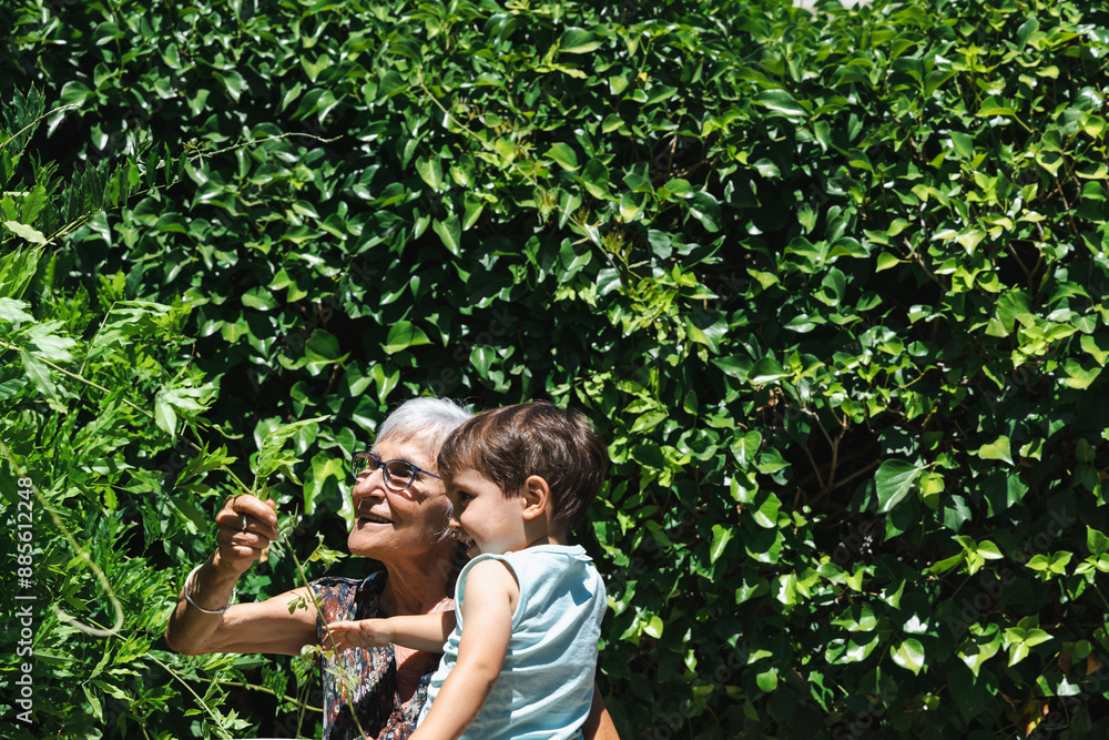 Grandmother and grandson picking flowers in the garden Grandmother and grandson picking flowers in the garden