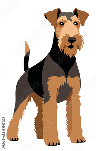 Airedale terrier. Vector isolated illustration