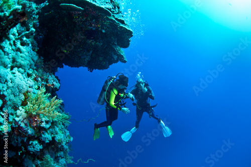 The Red Sea, one of the saltiest seas in the world, is located between Africa and Asia and covers approximately 438,000 km2 (169,100 mi2). Hundreds of hard and soft corals surround this area and are b photo