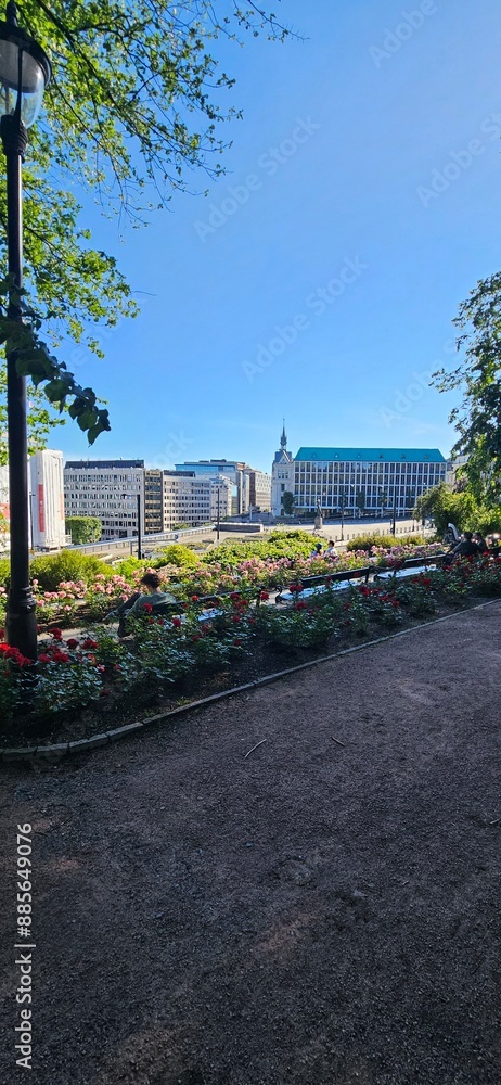 Fototapeta premium cityscape