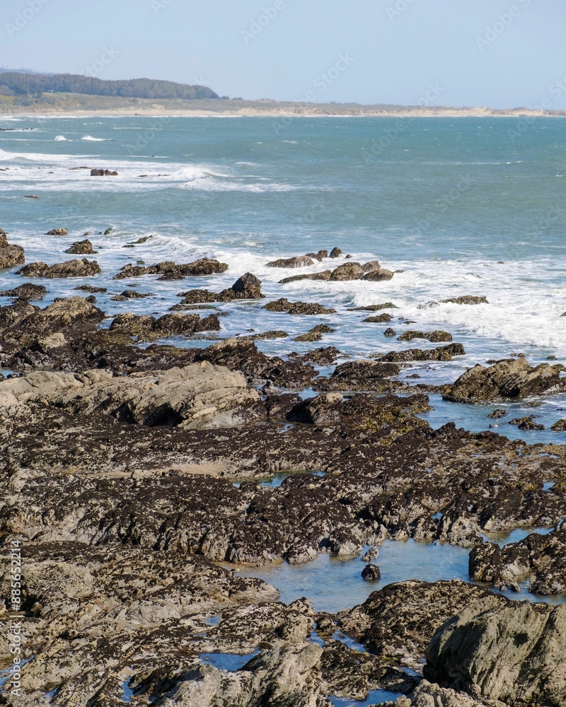 Vertical shot of a serene rocky beach on a sunny day in Pescadero, California, United States Vertical shot of a serene rocky beach on a sunny day in Pescadero, California, United States