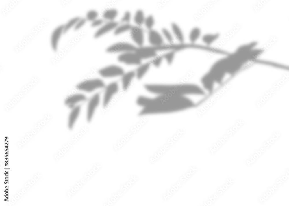Illustration of the silhouette of beautiful blurry grey young leaf shoots, on a separate background, minimalist or zen concept. Used for decoration. Illustration of the silhouette of beautiful blurry grey young leaf shoots, on a separate background, minimalist or zen concept. Used for decoration.