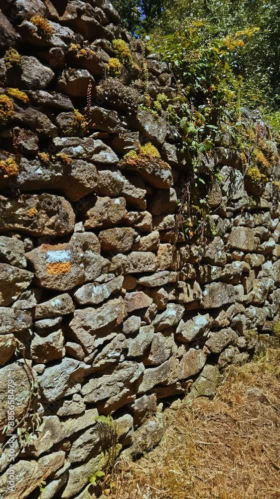 Moss-Covered Stone Wall in Sunlight Moss-Covered Stone Wall in Sunlight