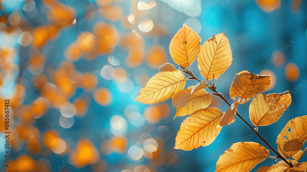 golden autumn branches against the background of the city, fall, yellow leaves frame the backdrop, season, nature, place for text, plant, beauty, trees, foliage, october, scenery, gold, copy space golden autumn branches against the background of the city, fall, yellow leaves frame the backdrop, season, nature, place for text, plant, beauty, trees, foliage, october, scenery, gold, copy space