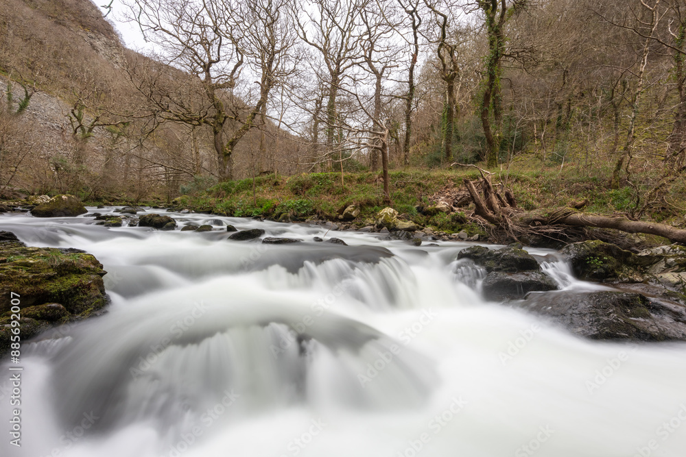The East Lyn river flowing through the woods at Watersmeet in Exmoor National Park The East Lyn river flowing through the woods at Watersmeet in Exmoor National Park