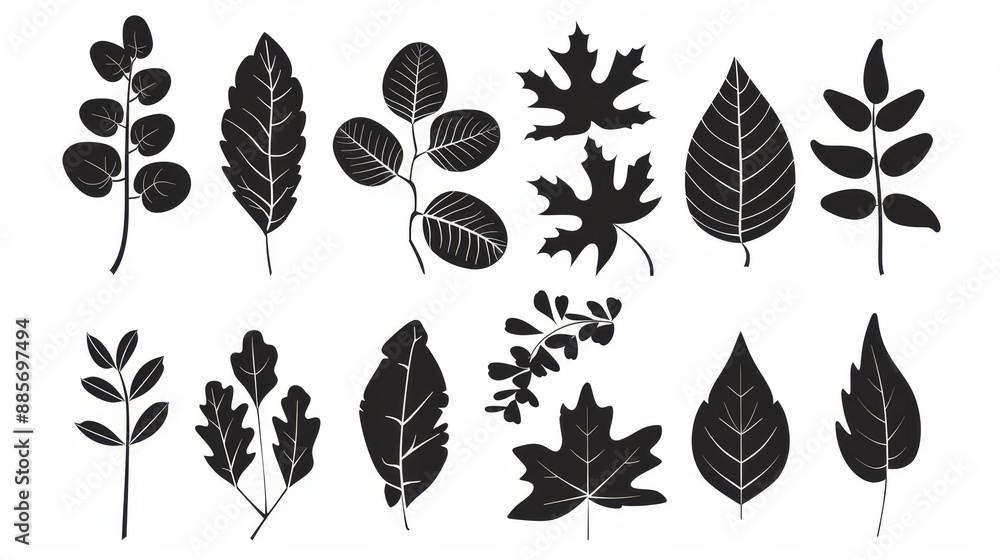 Fototapeta premium Black and white leaves icons set