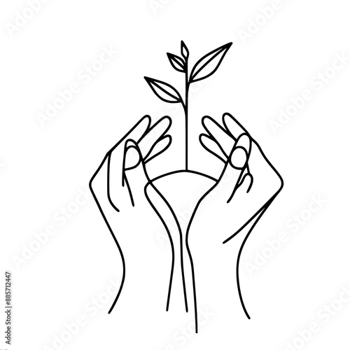 Two hands gently hold a handful of earth with a young plant, close-up, one-line vector drawing 