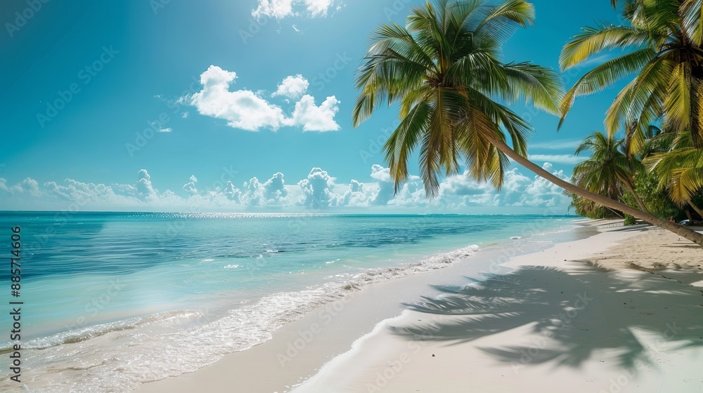 This peaceful image shows palm trees swaying with the gentle breeze along the shoreline, with calm ocean waves under a bright sunny sky, ideal for a day of relaxation and renewal. This peaceful image shows palm trees swaying with the gentle breeze along the shoreline, with calm ocean waves under a bright sunny sky, ideal for a day of relaxation and renewal.