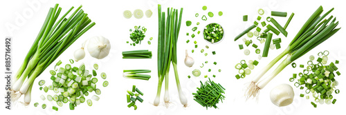 Set of spring onion isolated on transparent background  photo