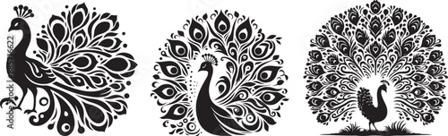 Peacock silhouette vector illustrations with a solid white background
