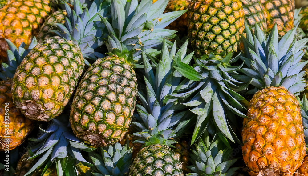 photo close up a pile Pineapple fruit fresh, organic. pattern texture background. photo close up a pile Pineapple fruit fresh, organic. pattern texture background.