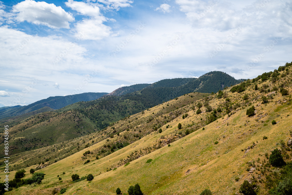 Naklejka premium Green mountain side with trees and bushes. Sunny day with blue sky and clouds. 